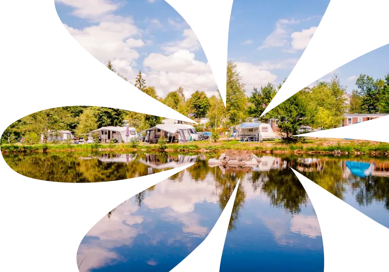 Illustration du Flower Magazine