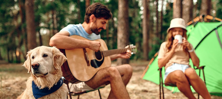 camping avec son chien