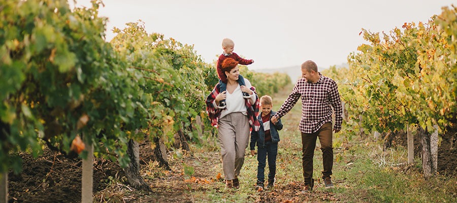 Camping sur la route des vins avec Flower