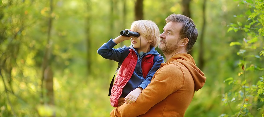 Activités à faire en camping à la Toussaint